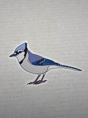 Blue Jay Vinyl Cut Sticker